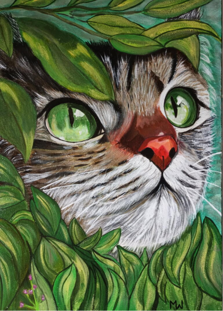 Les yeux du chat